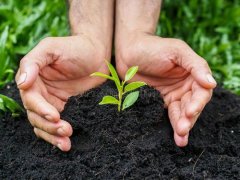 土壤肥料检测仪帮助合理利用肥料资源